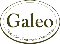 Logo galeo
